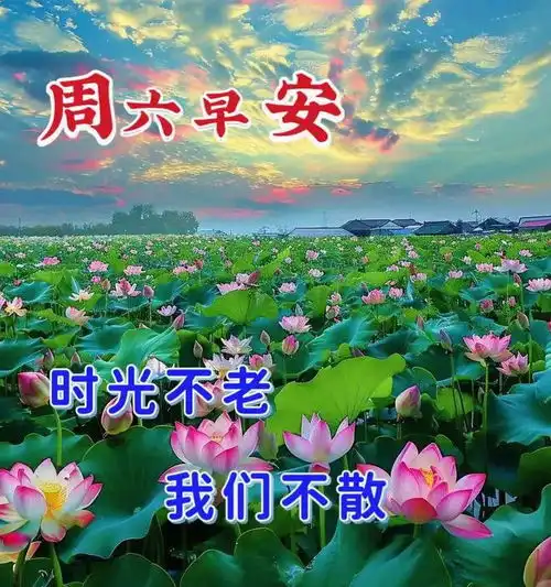 6月22日周六早上好美好的周末已经开启,放松一下自己 6月22日周六早上好美好的周末已经开启,放松一下自己