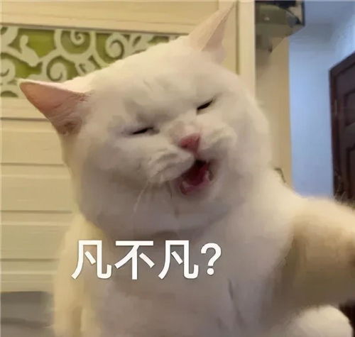  王力宏骗婚出轨娱乐圈多的是,你不知道的事