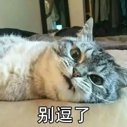  这只尽说实话的喵