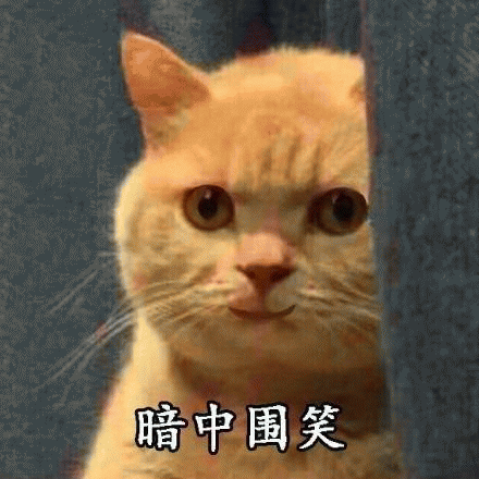  我妈不让我跟傻子玩表情包下载
