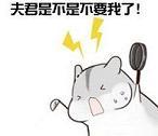  仓鼠夫妻