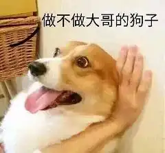  今日份的沙雕表情包