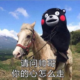 火影女神大评选 火影女神大评选