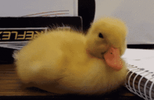 那些曾经报复性熬夜的女人,现在都怎么样了 那些曾经报复性熬夜的女人,现在都怎么样了