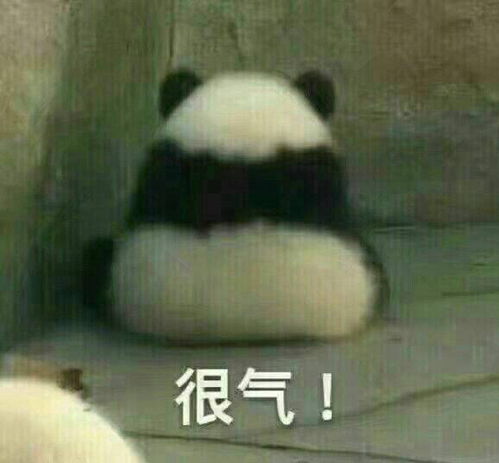  神烦开口闭口亲亲亲的人