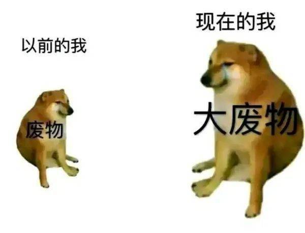  考到绝望细数为雅思泪流满面的瞬间,烤鸭是我本人没错了