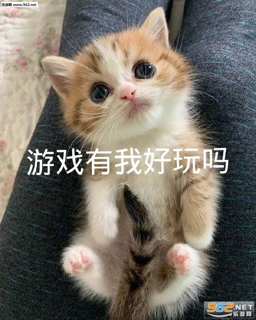  去他妈的人间疾苦表情包游戏有我好玩吗表情包下载乐游网游戏下载