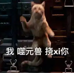 3个月前从垃圾桶捡来的猫,特别爱咬人,这样的猫还能要吗 3个月前从垃圾桶捡来的猫,特别爱咬人,这样的猫还能要吗