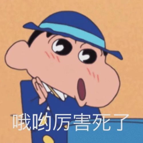 哇塞太厉害了表情包