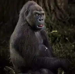 天哪,我们在非洲居然有那么多的表叔 天哪,我们在非洲居然有那么多的表叔