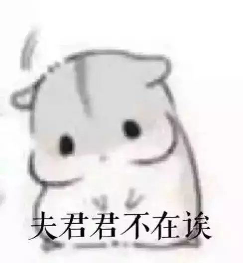  慧大大情侣堆糖,美好生活研究所