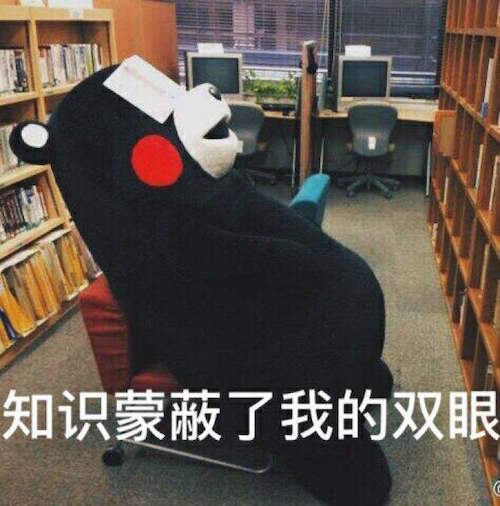 熊本熊微信表情包