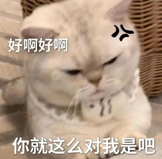  黑猫舔爪表情包微信怎么搜今日头条