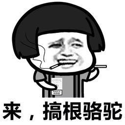  表情丨我们仙女根本不需要良心动图飘逸