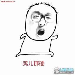孙亚龙秃头表情包笑笑