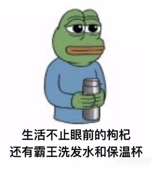  作为爱情至上的红心人,我如何成了朋友圈万年单身狗