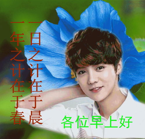 怎么做老年人表情包