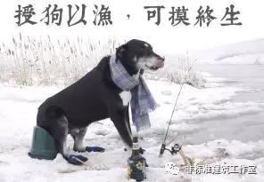 秦先生表情包秦先生