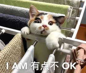  严重污染环境衡阳这家店主屡教不改擅自撕毁封条被行拘