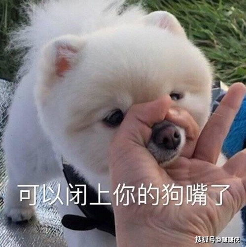  闭嘴表情包只要哥哥长得好,一杯清水我就倒