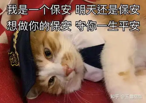 可爱喵咪表情包吸猫