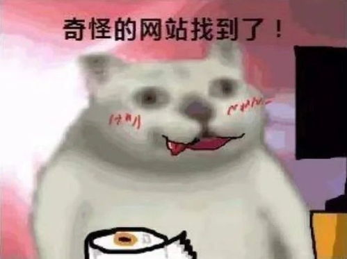  性感表情包图片正在忙,奇怪的网站