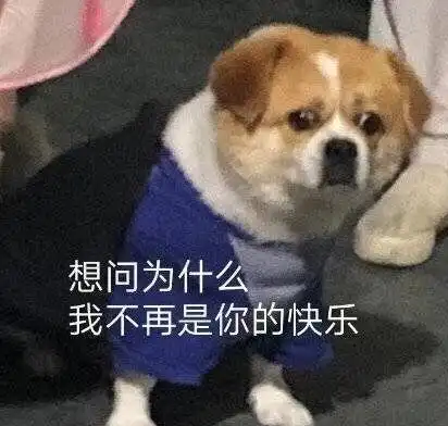 搞笑gif迷美女,进房间就为了这个啊,早说就不用那么麻烦了 搞笑gif迷美女,进房间就为了这个啊,早说就不用那么麻烦了