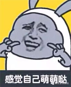  淄博金奥奥迪