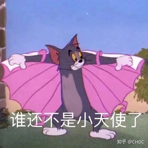  有没有不那么贵的有用的瘦腿霜啊求推荐