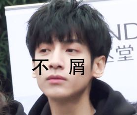 表情包这组图罗云熙看了都要否认三连doki