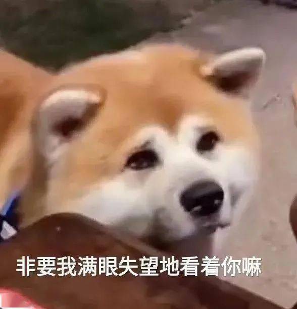  来收表情包了