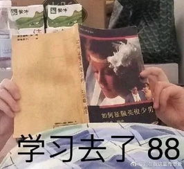 麻痹的表情包约基