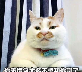  适合发给大猪蹄子的沙雕表情包休想分手,分手无效
