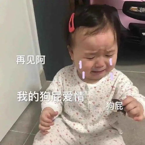  热门表情包微信里常用图片