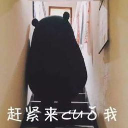  昆明人专属表情包,笑死人了
