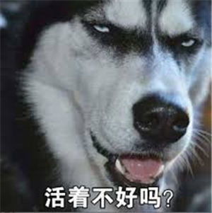二哈用手指人表情包香蕉