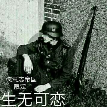  二战表情包2