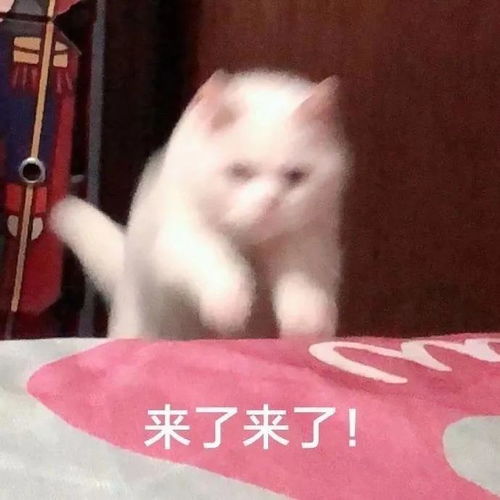  一波吵架名场面,搬好小板凳来围观