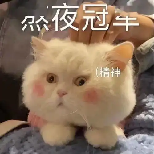  菌说寒假生活图鉴