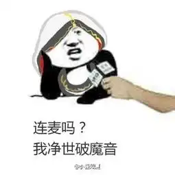 剑网三表情包被世界刷屏的连麦吗系列 剑网三表情包被世界刷屏的连麦吗系列