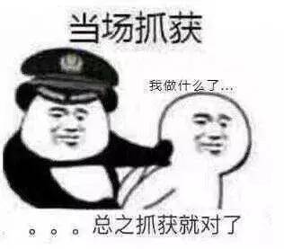  熊猫头表情包当场抓获当场逃脱反手逮捕当场击毙