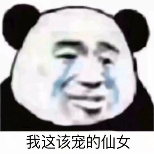  表情包你干嘛想打架