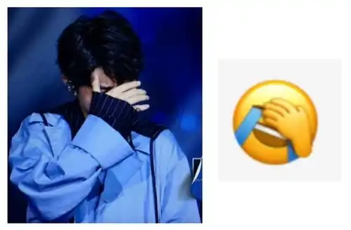  王俊凯神模仿,行走的表情包