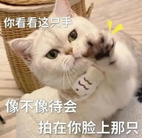 黑猫舔爪表情包微信怎么搜今日头条 黑猫舔爪表情包微信怎么搜今日头条