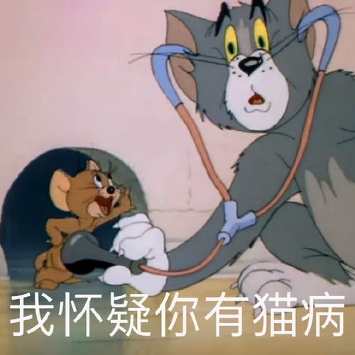  深扒月入15w的假减肥药贩子坑你钱还要身材羞辱你