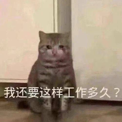  潘粤明的头是被他妈拿刀削的吗网友比砖头还平哈哈哈哈哈哈