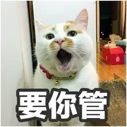  愿你在喵星永远幸福