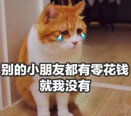  攻守道,你看了吗