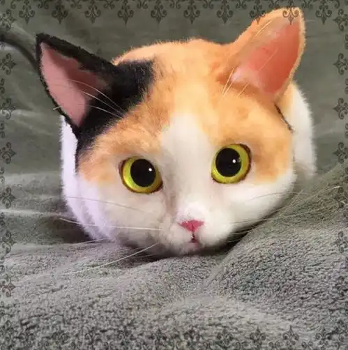  争取做到最高境界