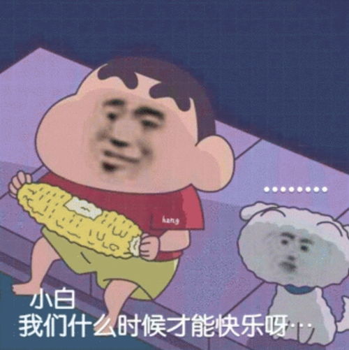  开心一笑一个大老板破产后,成了一个普通人,连个工作也没有